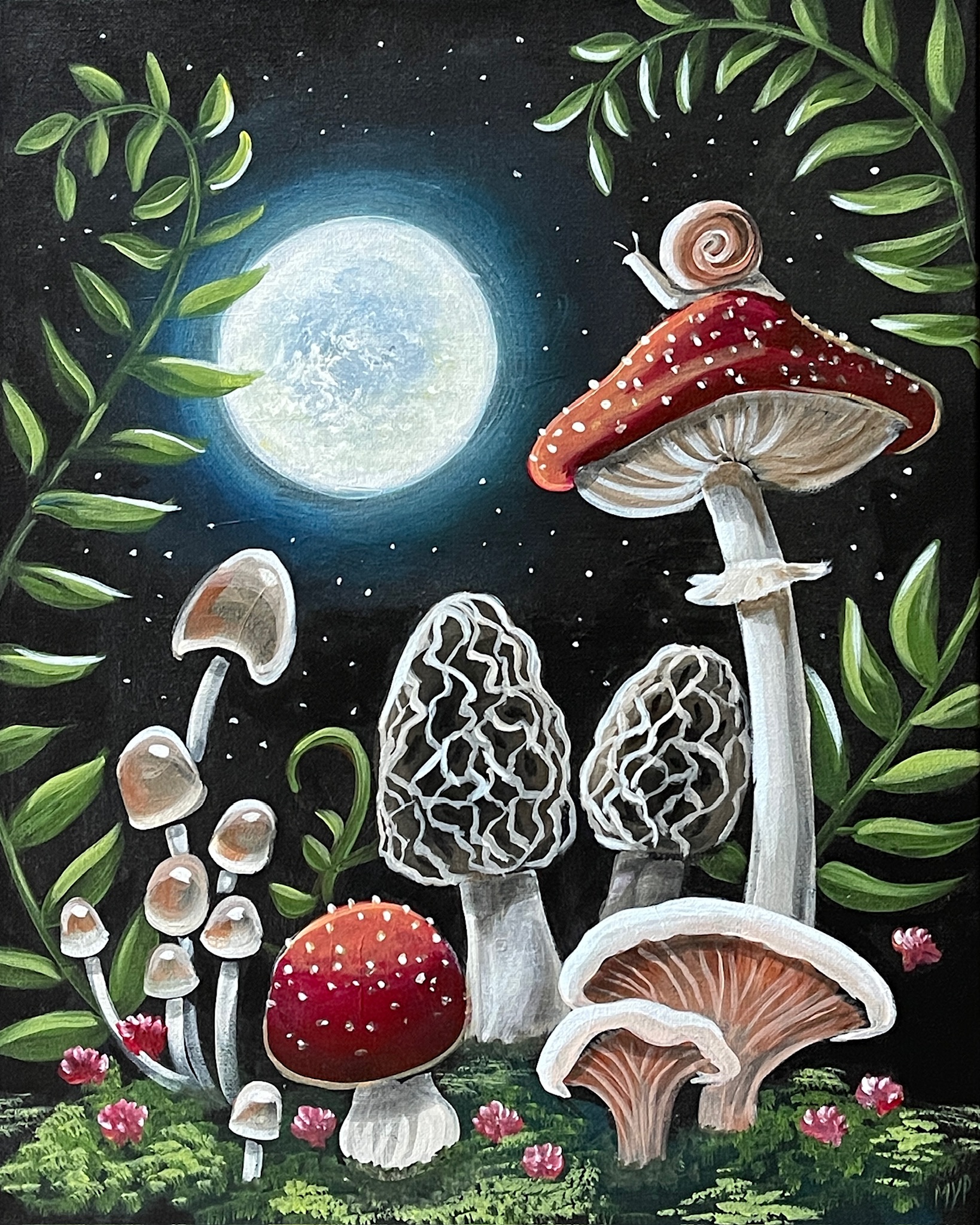 Midnight Mushrooms Reference Image