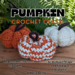 Pumpkin Crochet Class